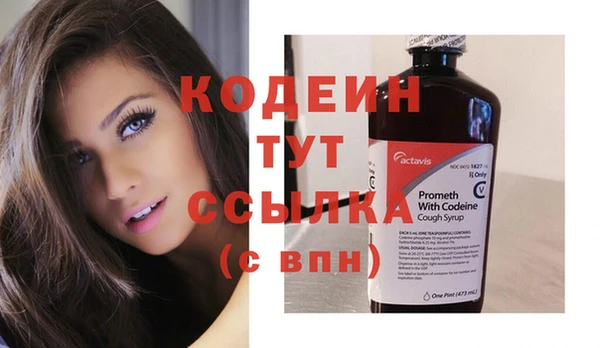 индика Волоколамск