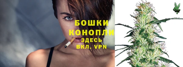 индика Волоколамск