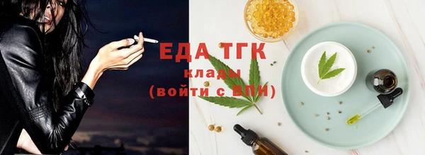 индика Волоколамск