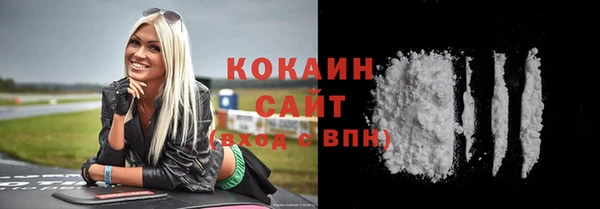 индика Волоколамск