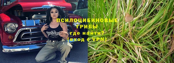 MESCALINE Сясьстрой