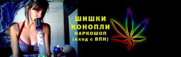 индика Волоколамск