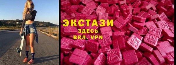 индика Волоколамск