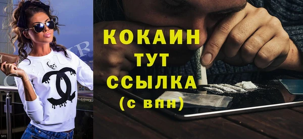 индика Волоколамск