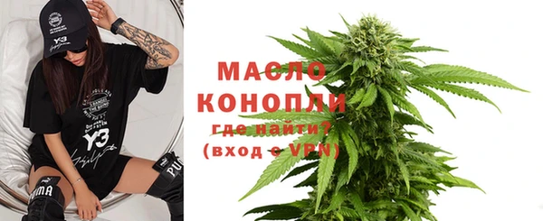 индика Волоколамск