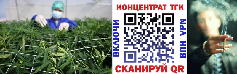 мега tor  Снежинск  Дистиллят ТГК концентрат 