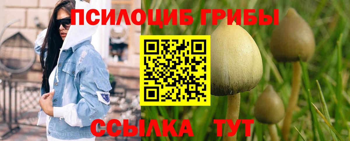 Псилоцибиновые грибы Psilocybe Снежинск